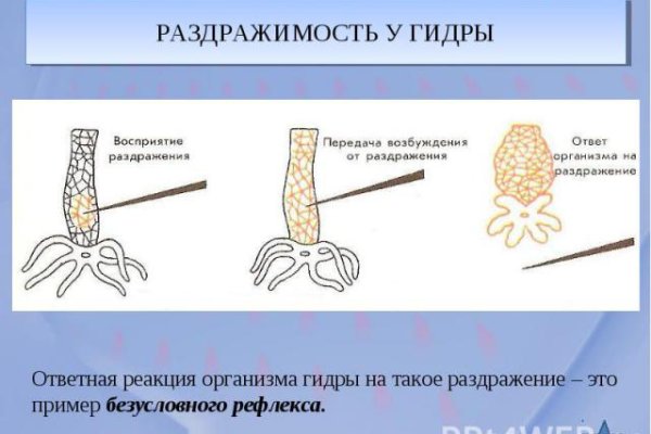 Kraken рынок