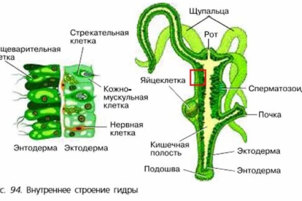 Кракен сайт зеркало рабочее