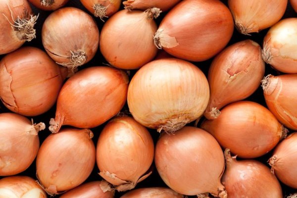 Кракен сайт официальный onion