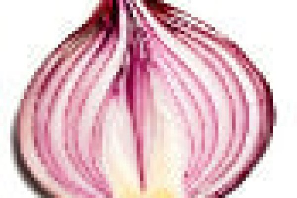 Кракен тор kr2web in