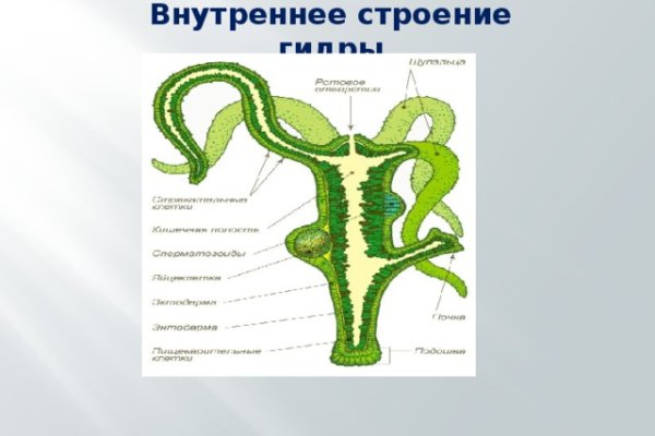 Kit kraken официальный сайт